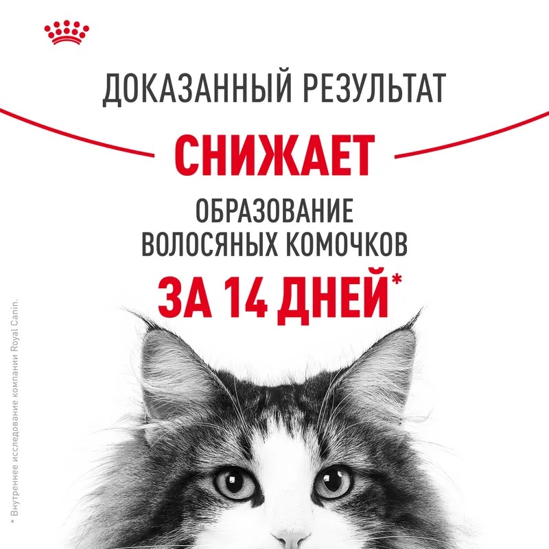ROYAL CANIN Hairball профилактика образования волосяных комочков 10 кг 4690553016496