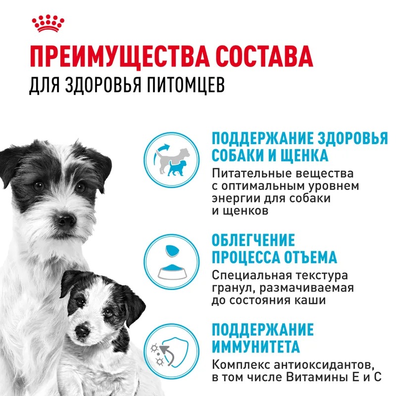 ROYAL CANIN Mini Starter Корм для щенков мелких пород до 2 месяцев 1 кг 4627109384440