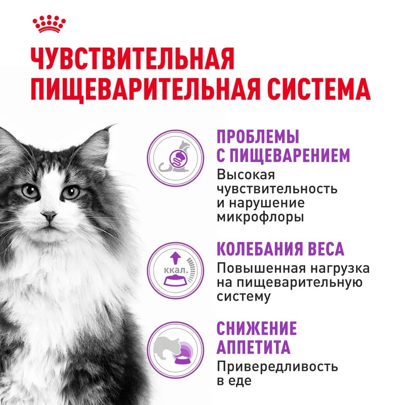 ROYAL CANIN Sensible для кошек с чувствительным пищеварением 400 гр 4627109380411