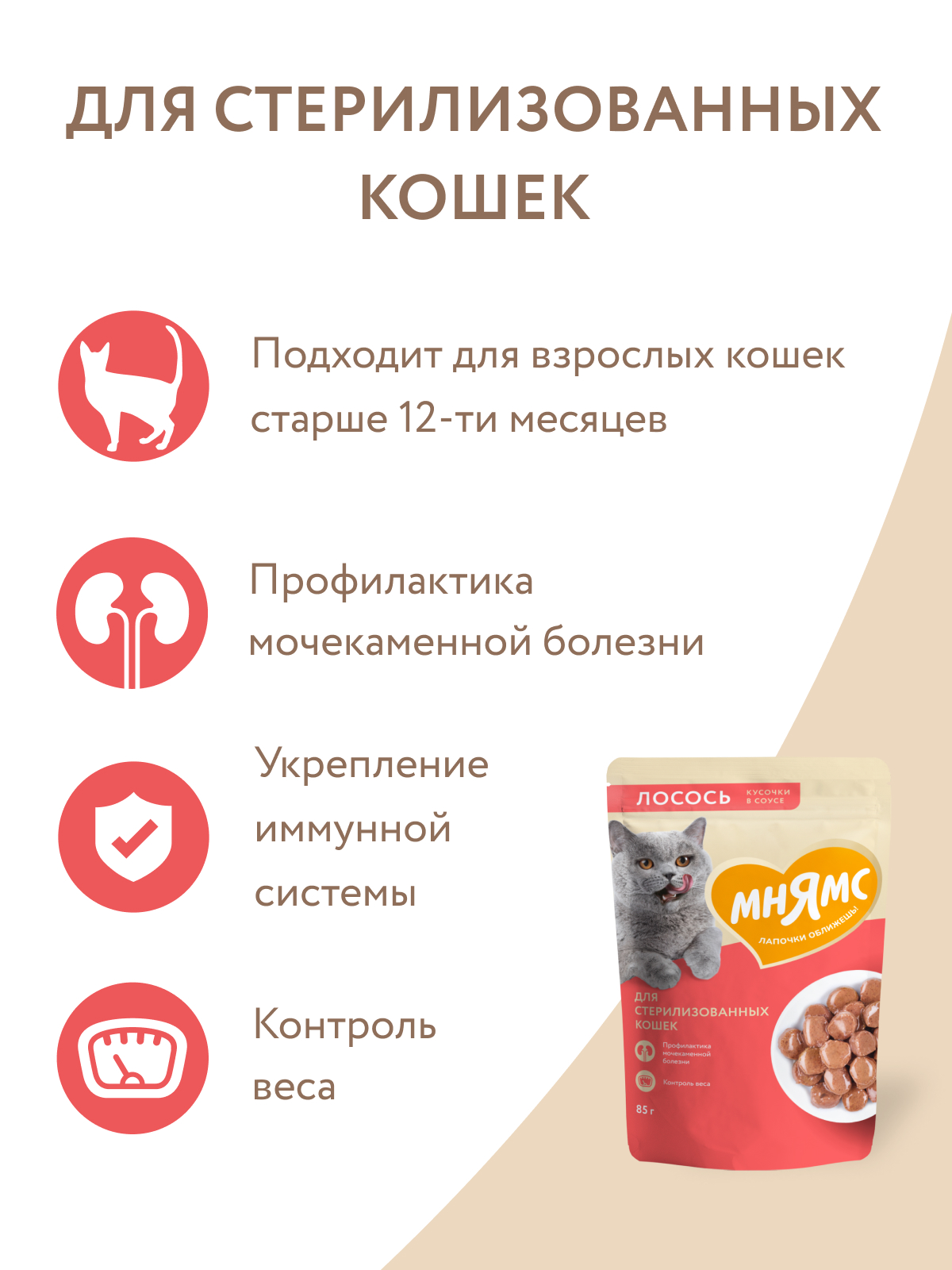 Мнямс Влажный корм для стерилизованных кошек, кусочки в соусе с лососем,  85 г