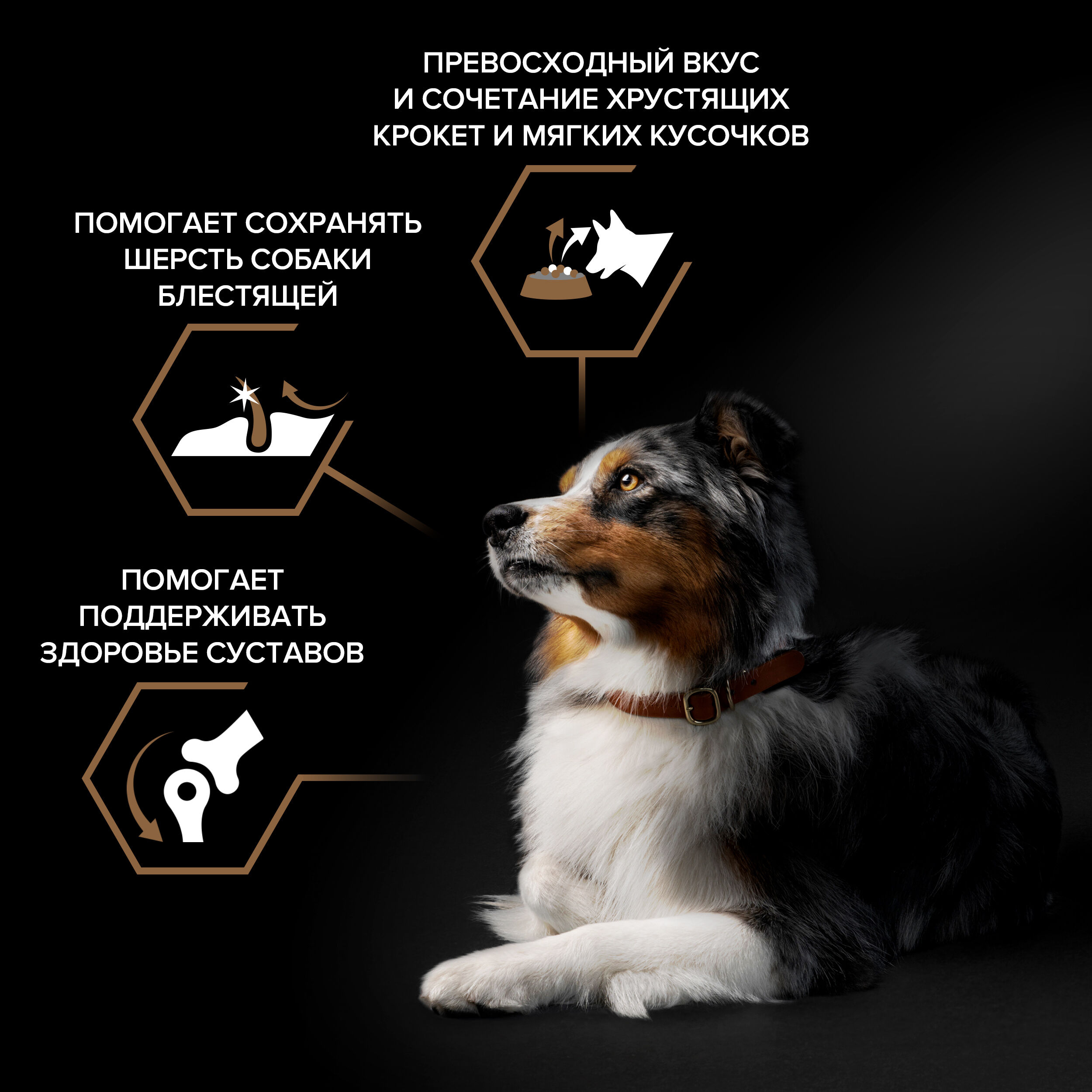 Сухой корм для собак PRO PLAN Duo Delice для средних и крупных пород с двойной текстурой гранул с говядиной, 2,5 кг 7613034083609
