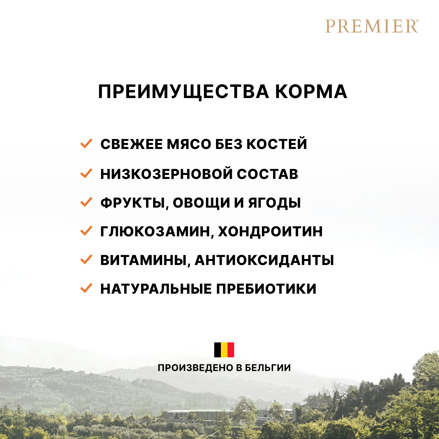 Premier Сухой корм для мелких собак с ягненком и индейкой 1 кг 5407007851461