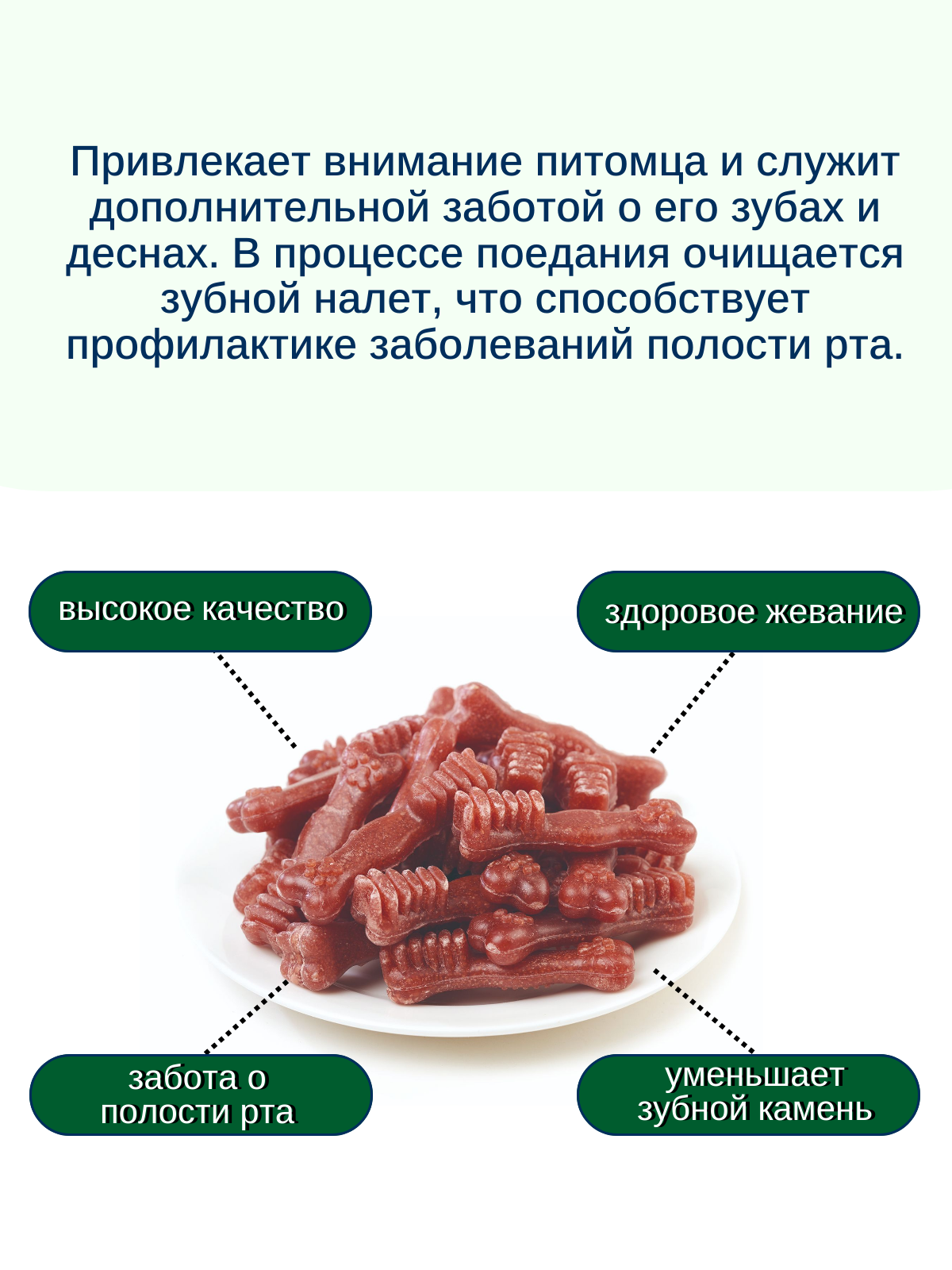 Wanpy Dog Лакомство для собак "Зубные щетки со вкусом говядины" 100 г