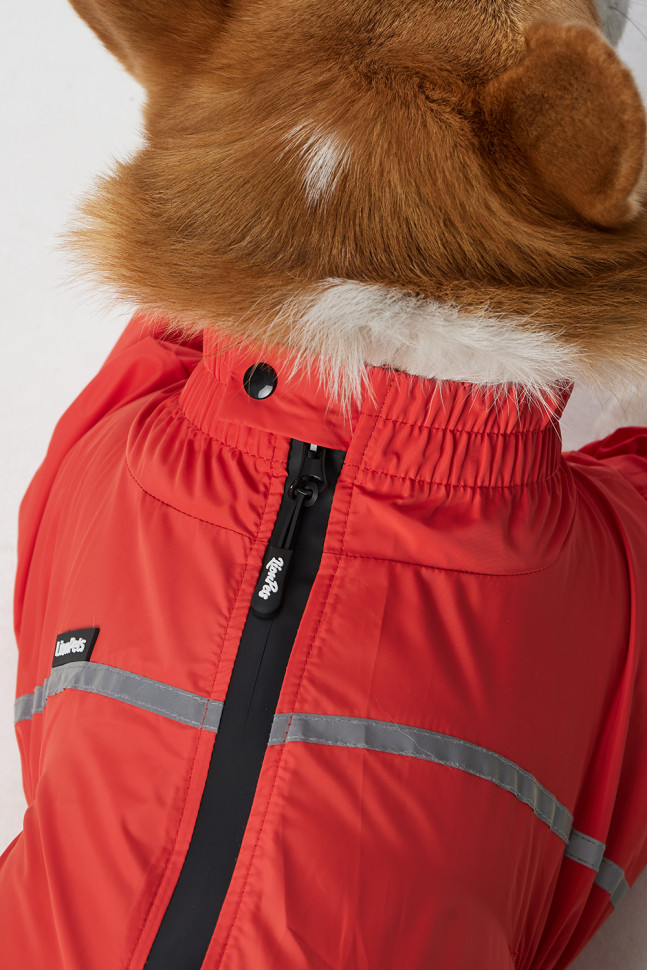 Дождевик LionPets Корги LPK-9125-29 на девочку Цвет: Оранжевый (девочка Размер 2 (спинка 50, обхват шеи 36-47, обхват груди 60-78))