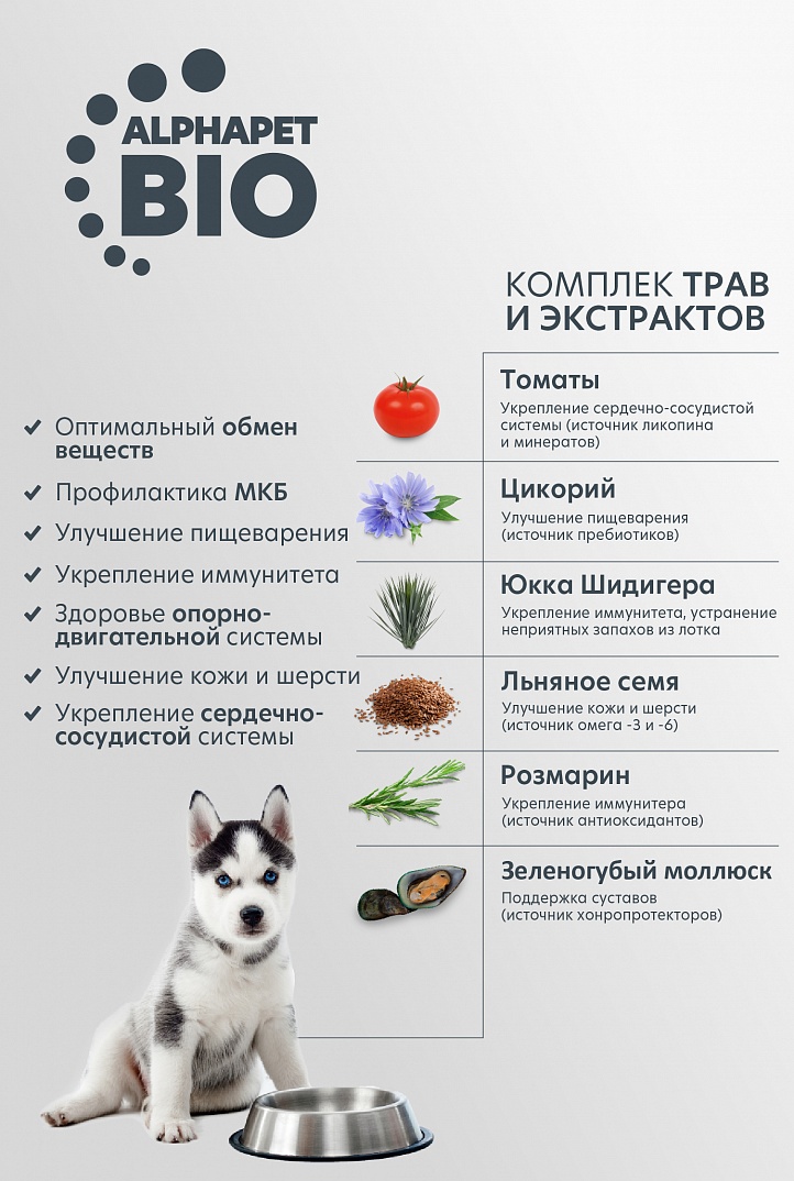 AlphaPet Superpremium Сухой корм для щенков крупных пород с говядиной и рисом 12 кг 4670064651508