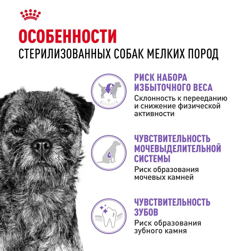 ROYAL CANIN Sterilised Корм для стерилизованных собак мелких пород 3кг 3182550894128