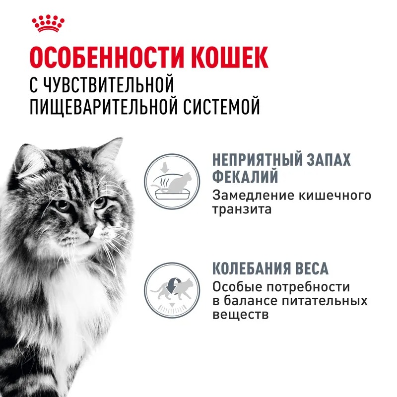 ROYAL CANIN Digest Sensitive корм для кошек соус 1 шт-85 гр 4627180245203