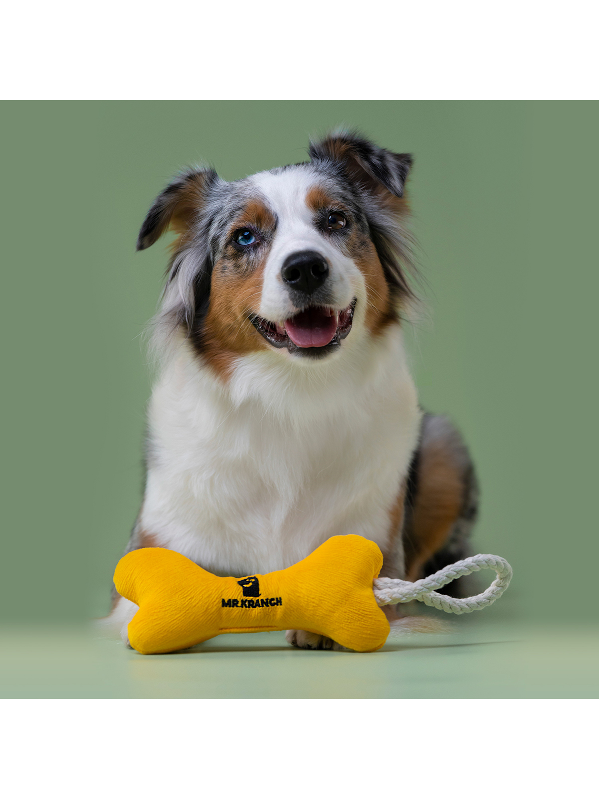 Игрушка Mr.Kranch для собак мелких и средних пород Косточка с канатом 31х9х4см, желтая