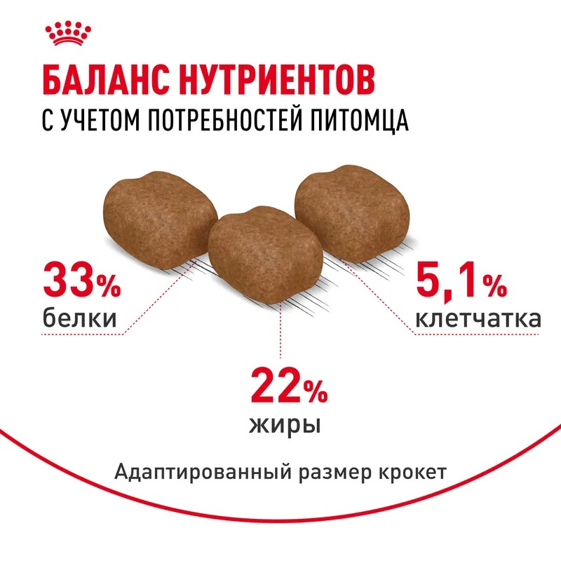 ROYAL CANIN Hair Сухой корм для кошек здоровая кожа и блеск шерсти 10 кг 4627166867931