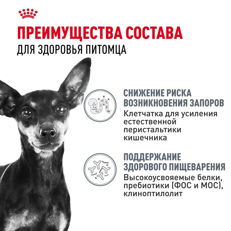ROYAL CANIN Digestive для мелких собак с чувствительным пищеварением 3кг 4627150231656