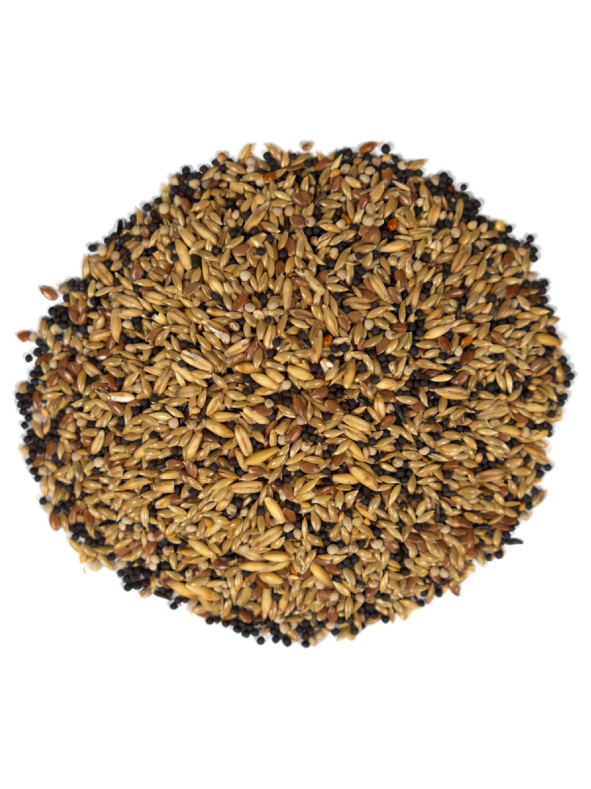 Корм Fiory Pet Paradise для канареек 1 кг