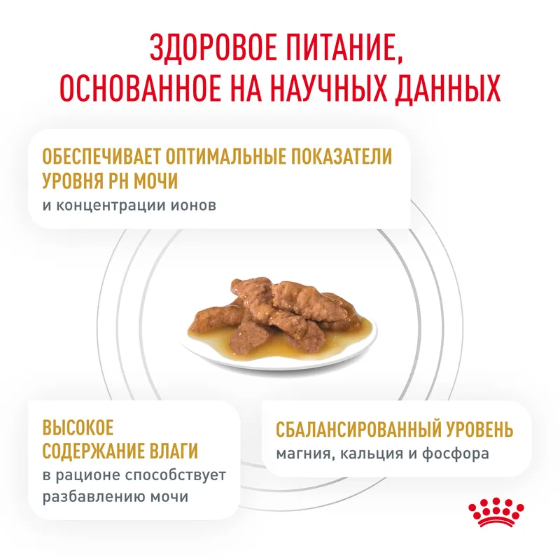 Влажный корм Royal Canin Urinary S/O для кошек при мочекаменной болезни 85гр