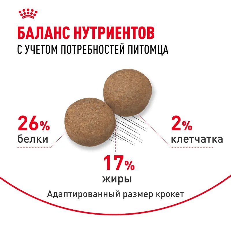 ROYAL CANIN Maxi Adult Корм для собак крупных пород 15 кг 4627109384891