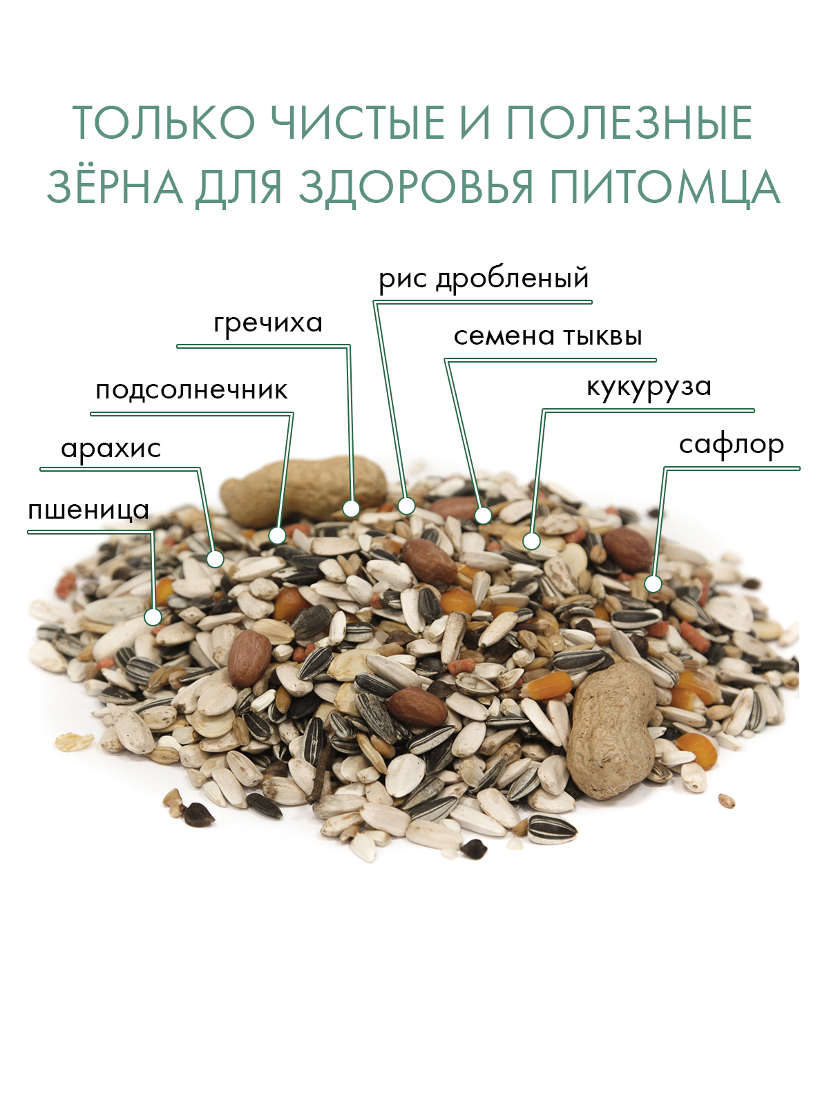 Корм Fiory Pappagalli для крупных попугаев 700 г