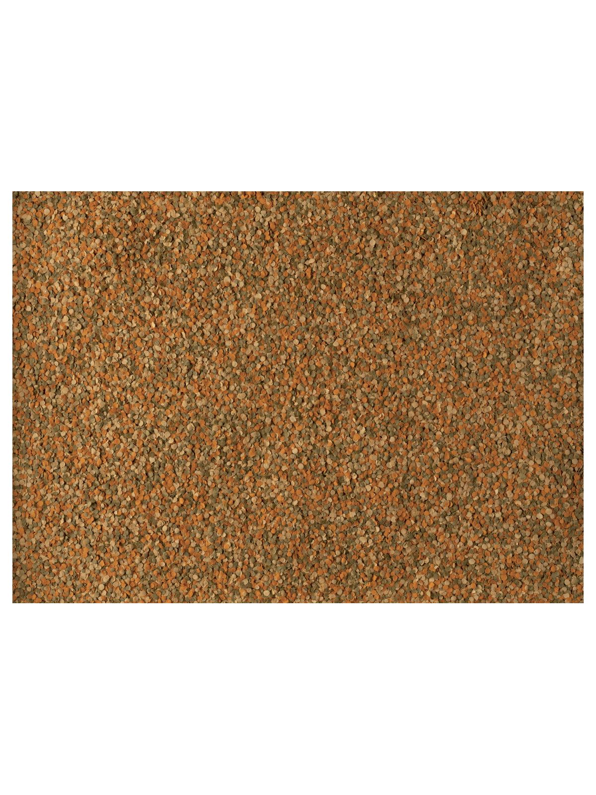 TetraMin Crisps корм-чипсы для всех видов рыб 250 мл