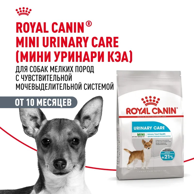 ROYAL CANIN ROYAL CANIN Mini Urinary Care Сухой корм для собак  1 кг