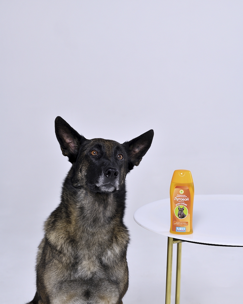 АВЗ Зоошампунь  Луговой  инсектицидный для собак, 270 мл (НЕ ЗАКАЗЫВАТЬ!!!)