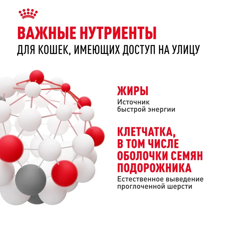 ROYAL CANIN Корм сухой Fit 32 для взрослых кошек 2 кг 4627109380572