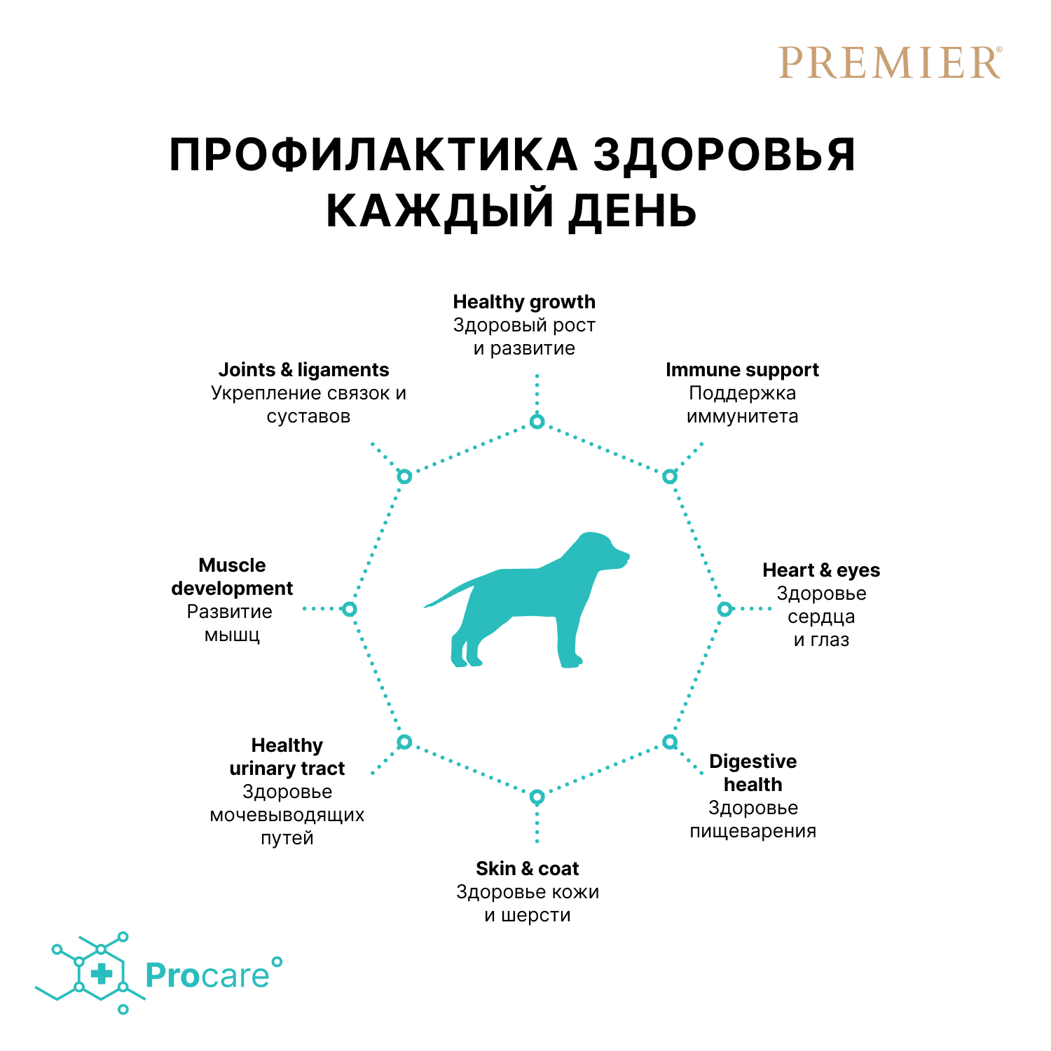 Premier Сухой корм для средних щенков с индейкой 1 кг 5407007851362