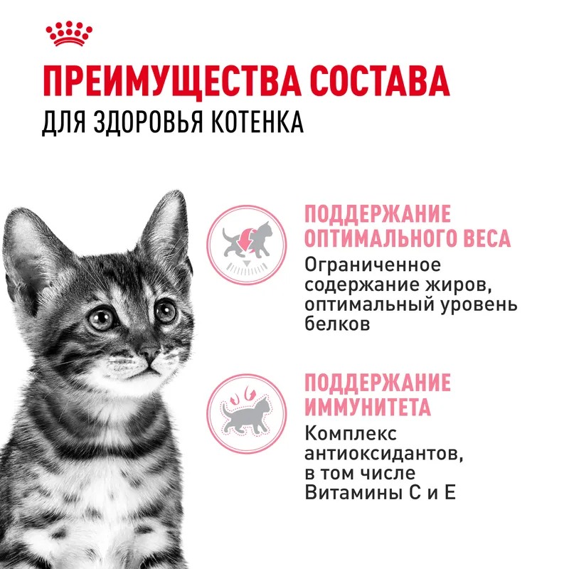 Влажный корм Royal Canin Kitten Sterilised для стерилизованных котят в возрасте от 6 до 12 мес. мелкие кусочки в соусе 85гр