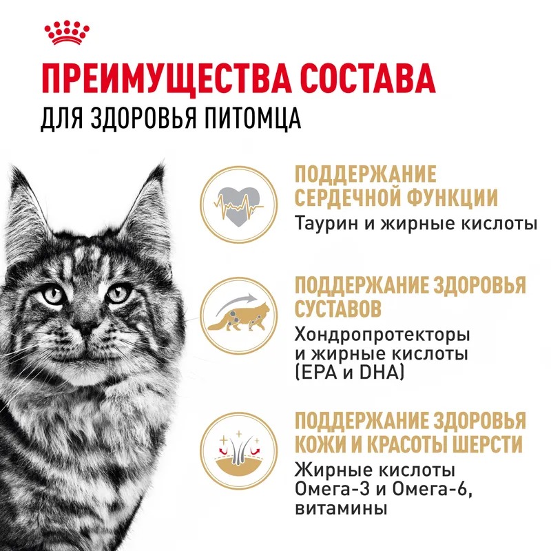 ROYAL CANIN Корм соус кошка породы Мэйн Кун 1шт-85гр 4627180240277