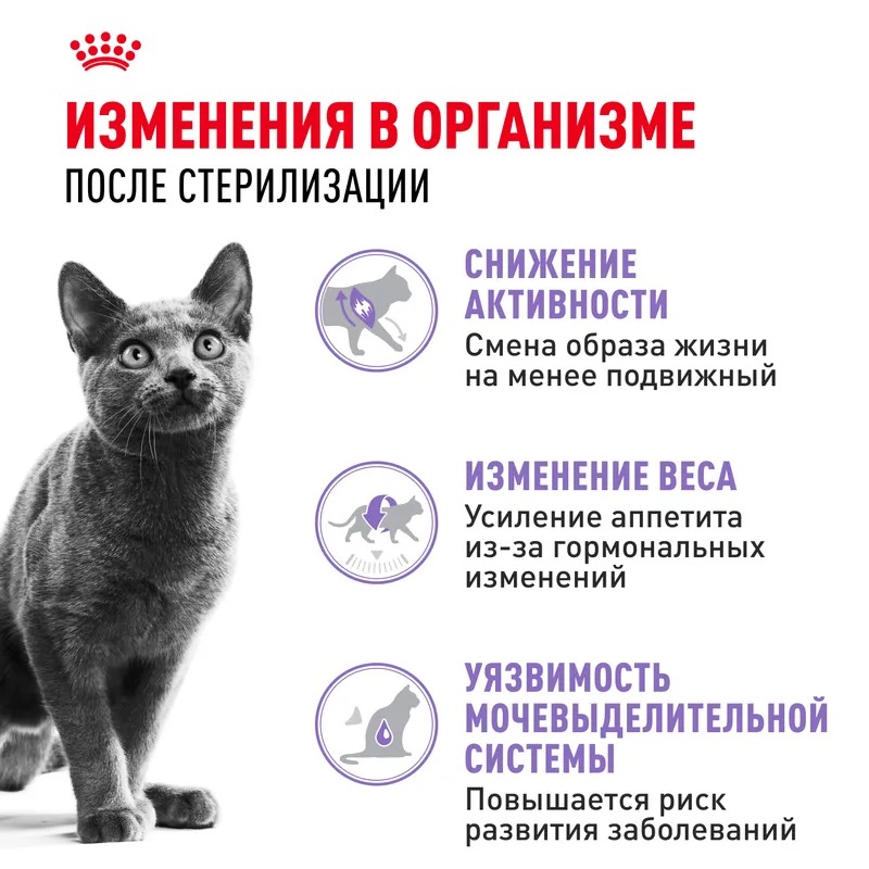 ROYAL CANIN корм сухой для стерилизованных кошек 4 кг 4627109380213