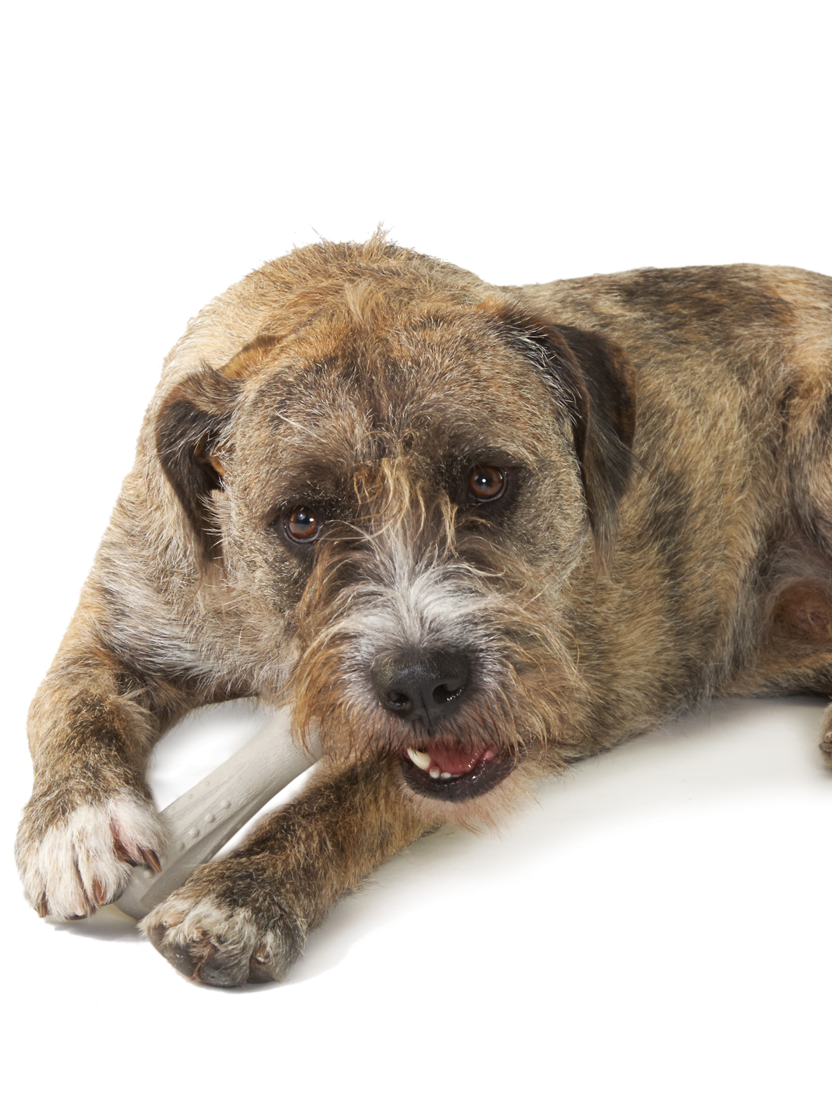 Petstages игрушка для собак Deerhorn, с оленьими рогами 16 см средняя