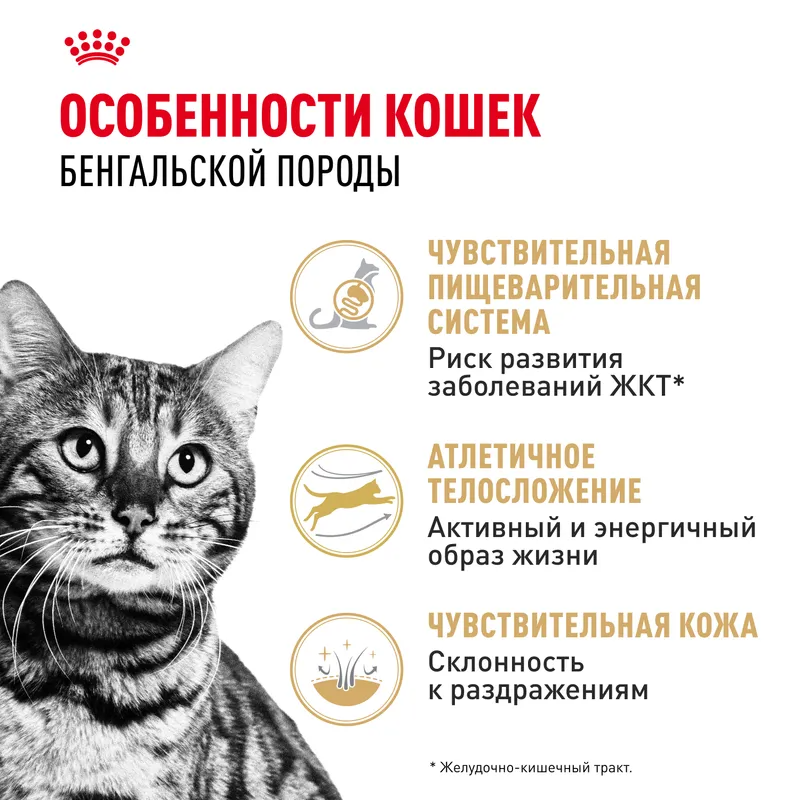 Royal Canin Royal Сanin Bengal Adult сухой корм для взрослых бенгальских кошек старше 12 месяцев 400гр