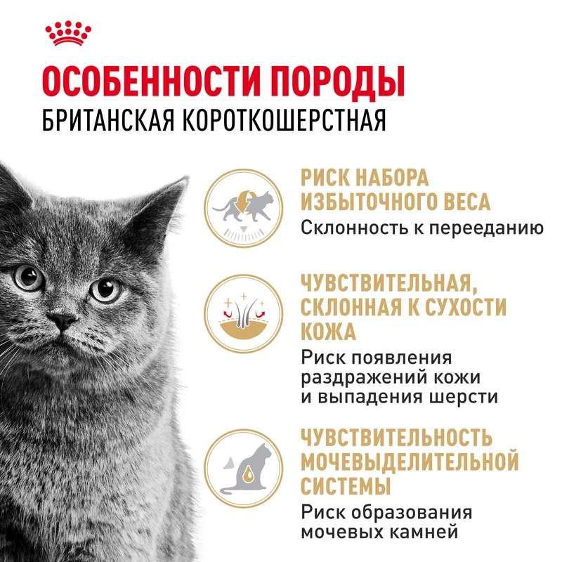 ROYAL CANIN Влажный Корм для британских кошек 1шт-85гр 4627180240284