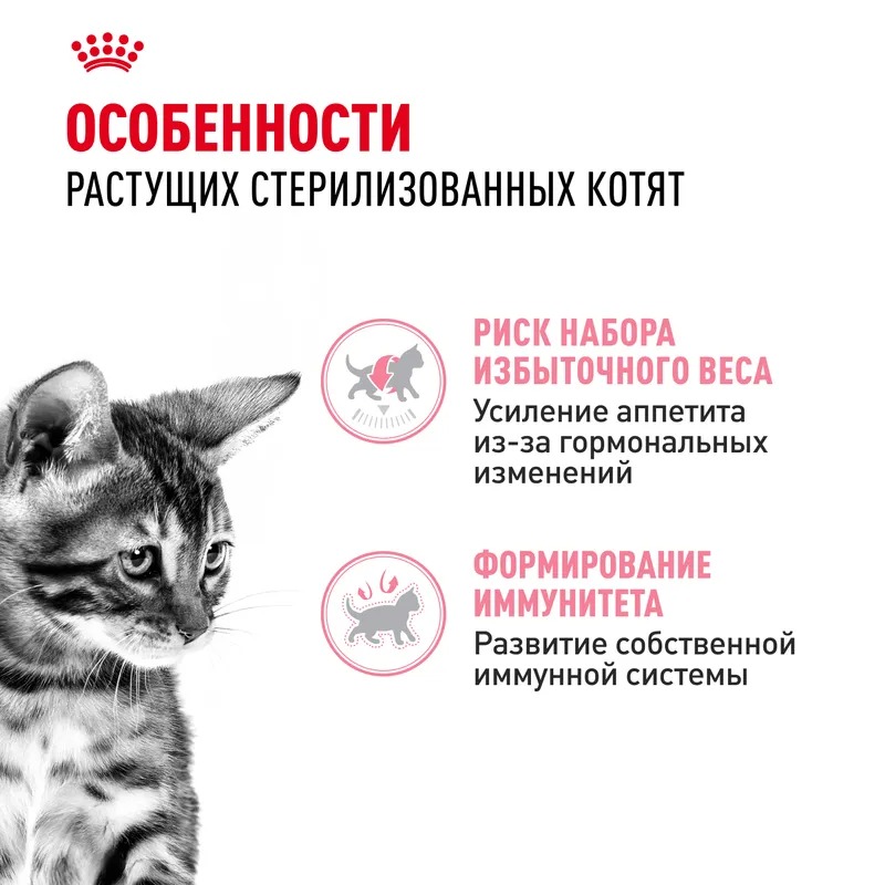 Влажный корм Royal Canin Kitten Sterilised для стерилизованных котят в возрасте от 6 до 12 мес. мелкие кусочки в соусе 85гр