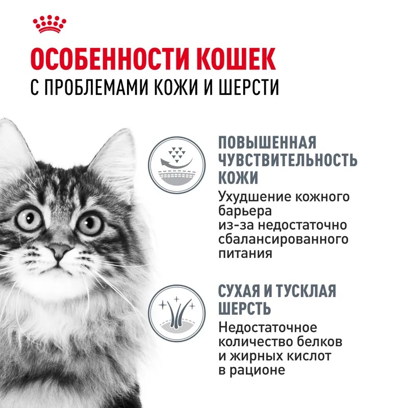 ROYAL CANIN Hair Сухой корм для кошек здоровая кожа и блеск шерсти 2 кг 4627166867917