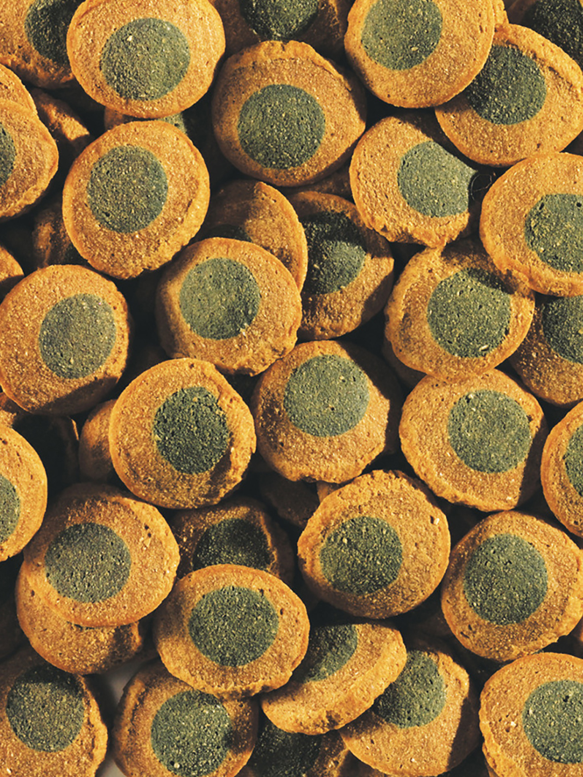 TetraPleco Spirulina Wafers корм для сомов чипсы 250 мл