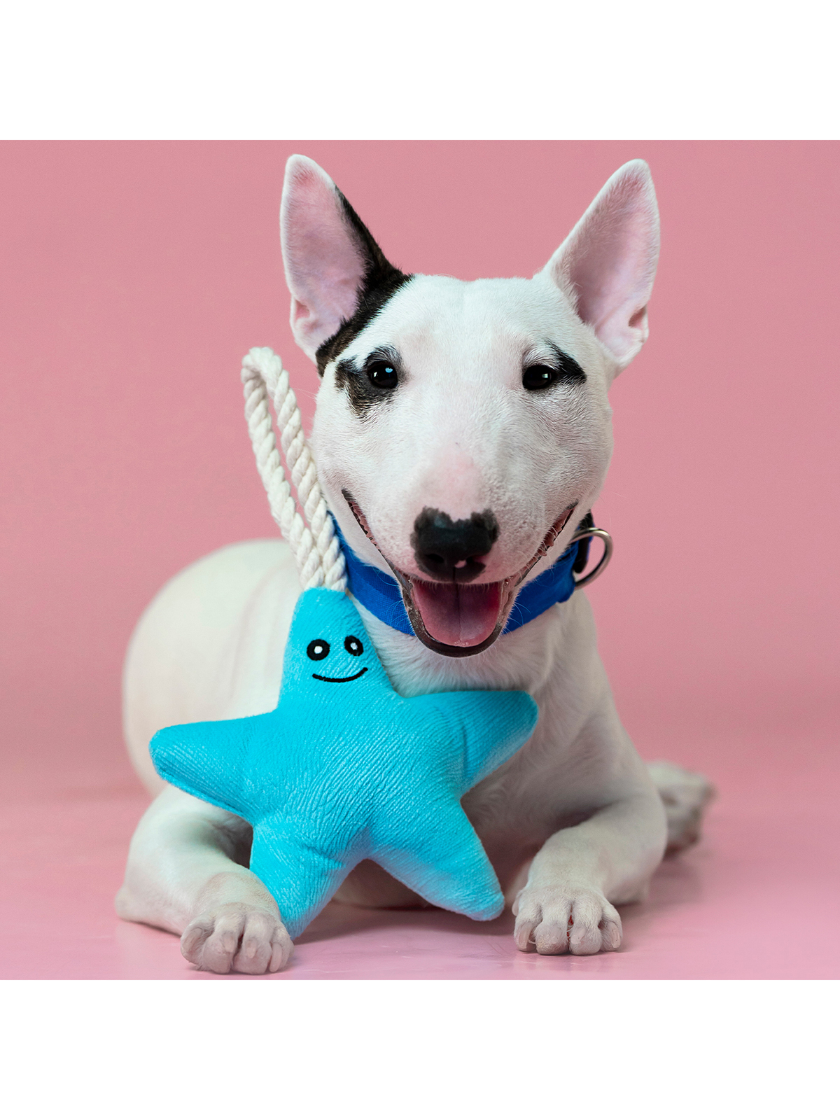 Игрушка Mr.Kranch для собак мелких и средних пород Звездочка с канатом и пищалкой 26х16х5см, нежно-голубая