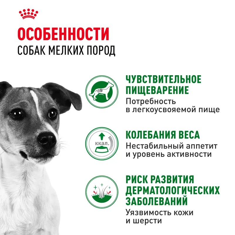 Влажный корм Royal Canin Mini Adult для взрослых собак мелких размеров от 10 месяцев, кусочки в соусе 85гр