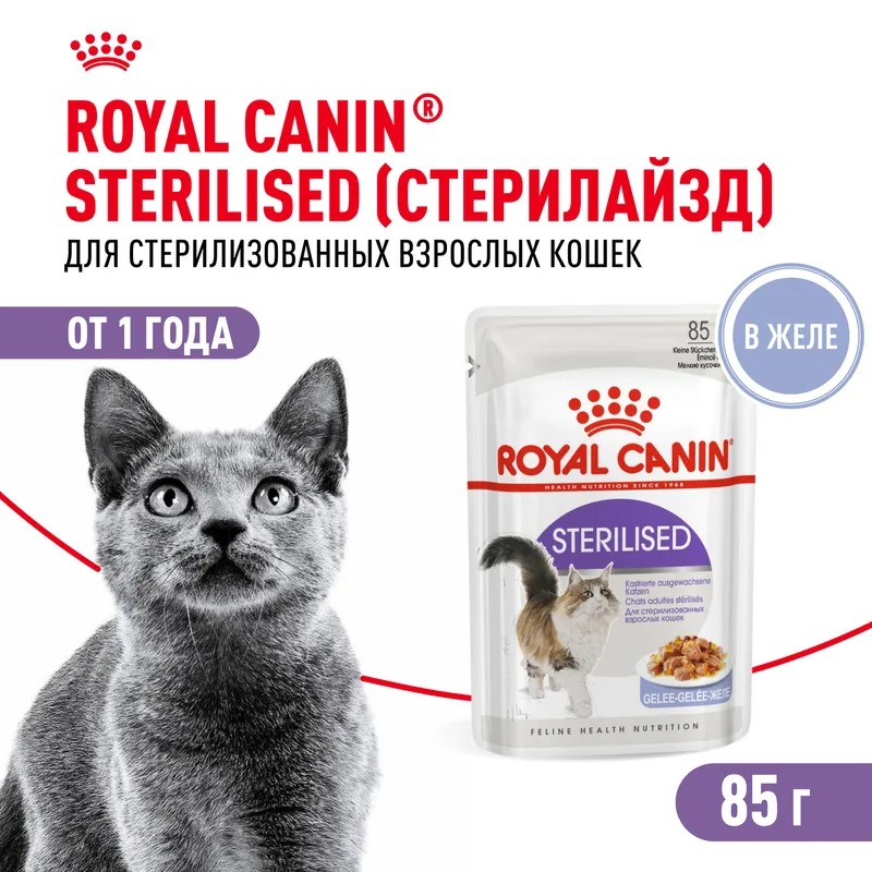 ROYAL CANIN Корм в желе для стерилизованных кошек 1шт-85гр