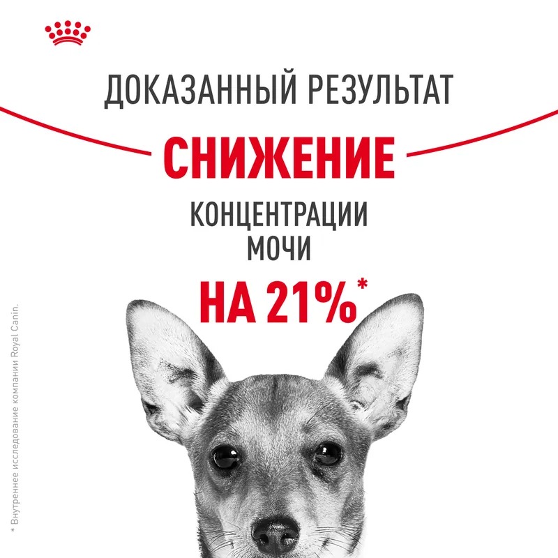 ROYAL CANIN ROYAL CANIN Mini Urinary Care Сухой корм для собак  1 кг