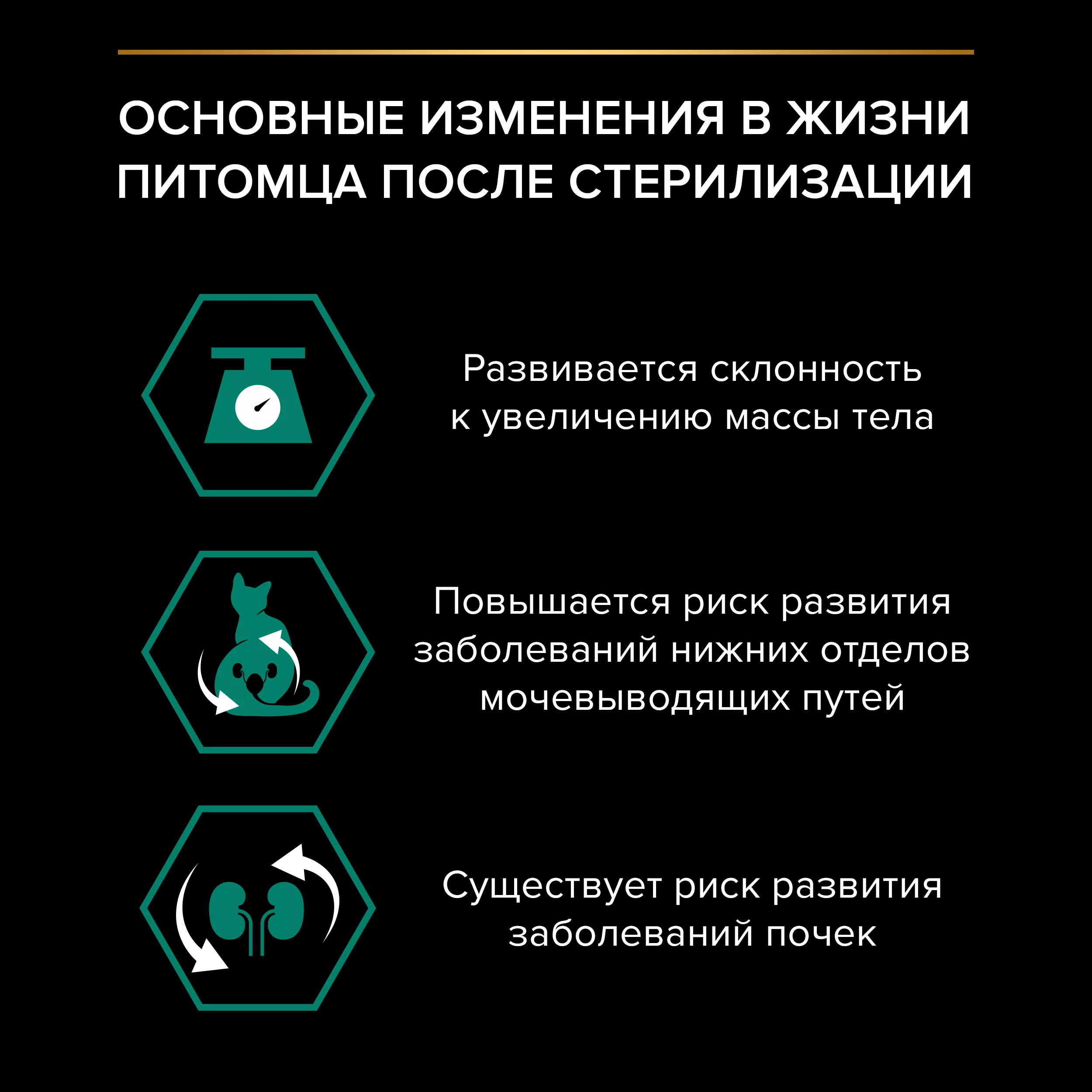 Сухой корм PRO PLAN для стерилизованных кошек, с индейкой, 10 кг + 2 кг