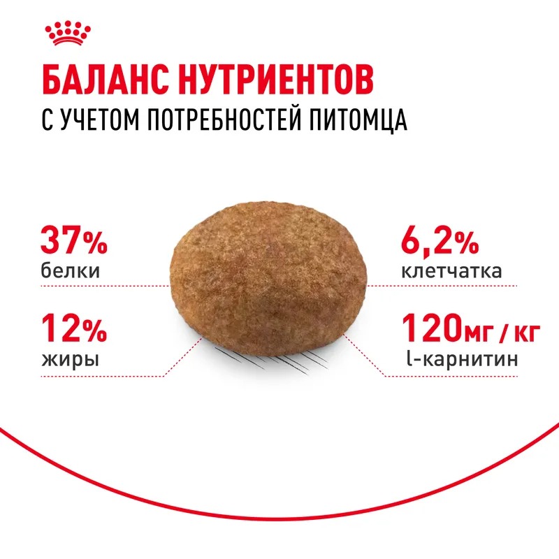 Royal Canin Sterilised 37, Сухой корм для стерилизованных кошек 1,2 кг
