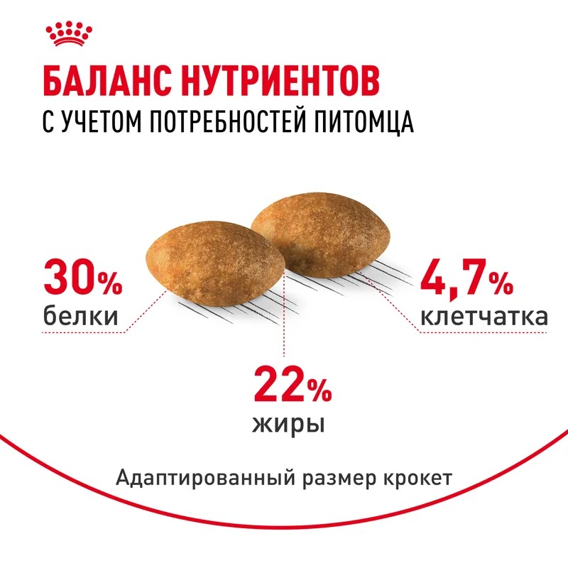 ROYAL CANIN Persian Сухой корм для взрослых персидских кошек 400 гр 4627109383191