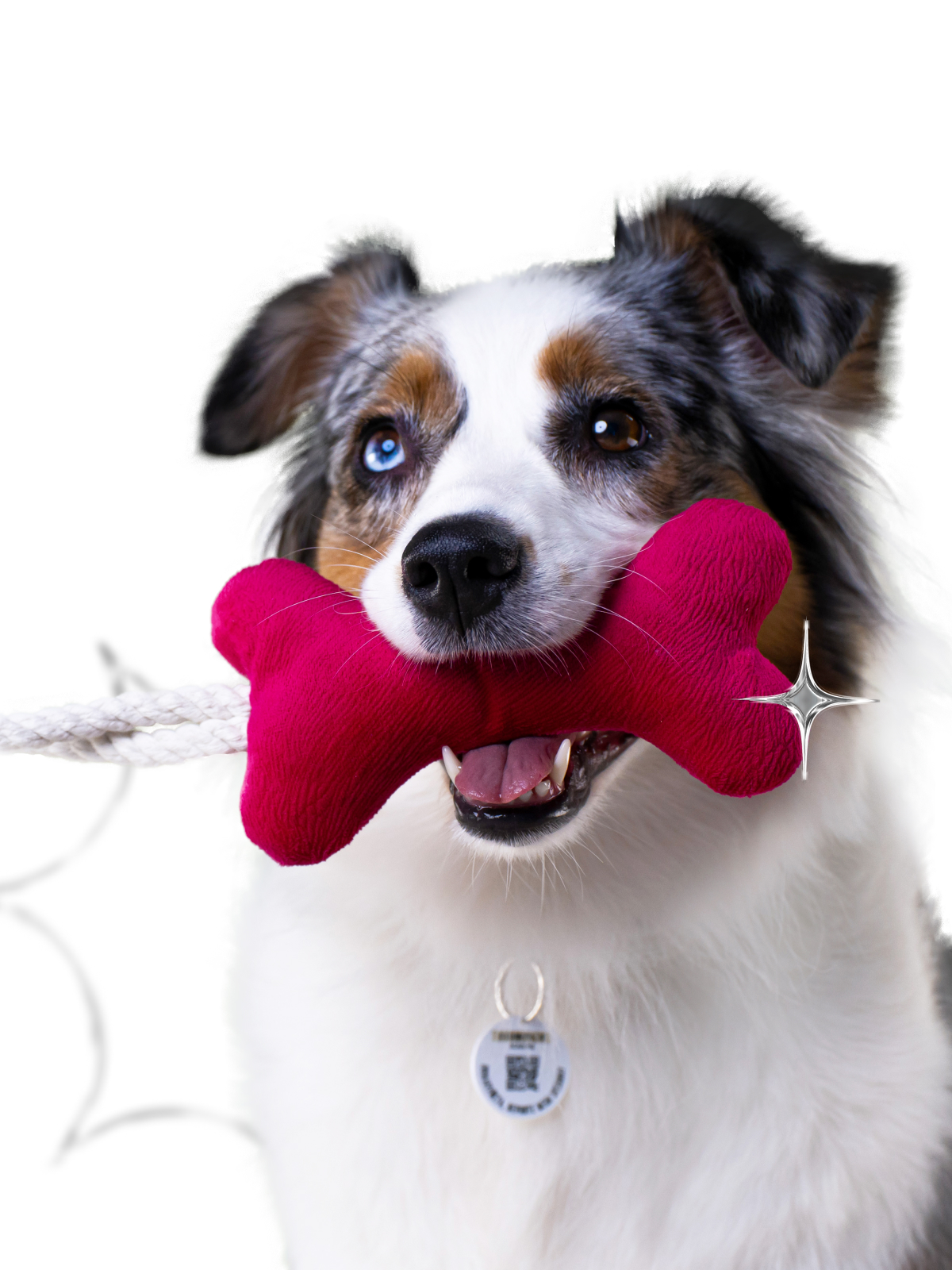 Игрушка Mr.Kranch для собак мелких и средних пород Косточка с канатом 31х9х4см, ярко розовая