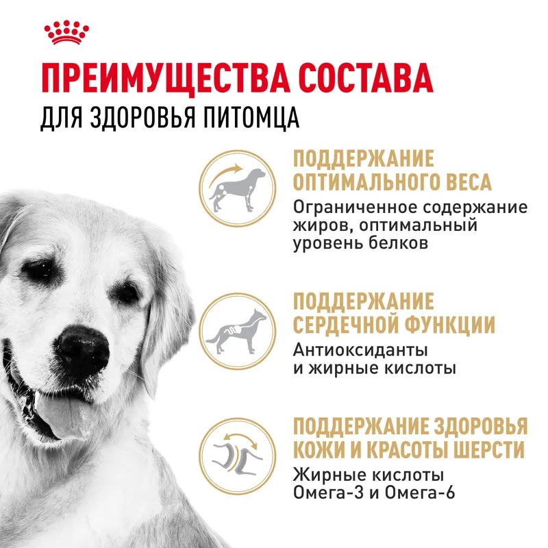 Royal Canin Golden Retriever Сухой корм для собак породы Золотистый Ретривер 12 кг