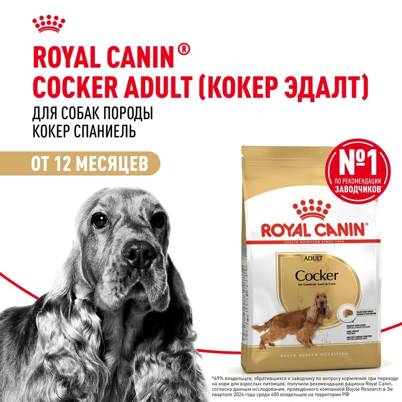 Royal Canin Cocker Adult Сухой корм для собак  для породы Кокер Спаниель 3 кг