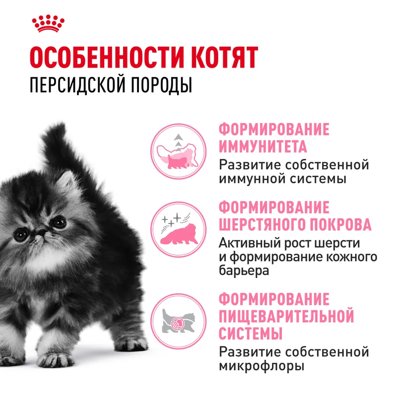 Сухой корм Royal Canin Persian Kitten, для котят персидской породы 2 кг