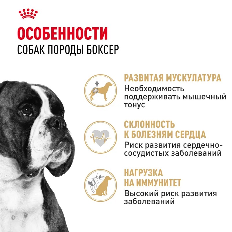 Royal Canin Boxer Adult, Сухой корм для собак для породы Боксер 12 кг