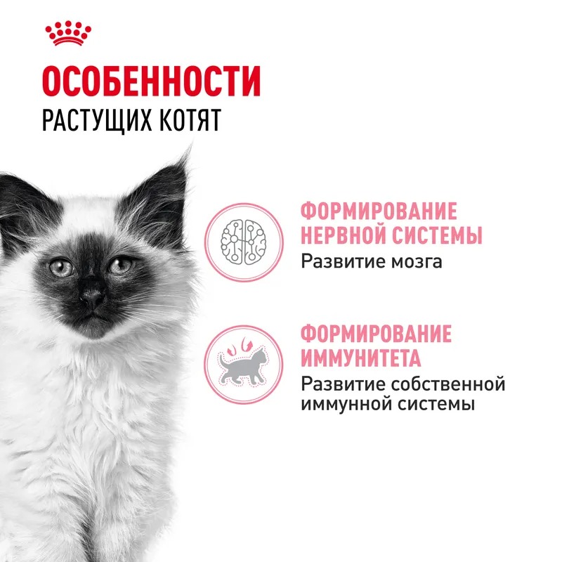 ROYAL CANIN Kitten Корм для котят до 12 месяцев, в желе, 1шт-85гр 4627150233889