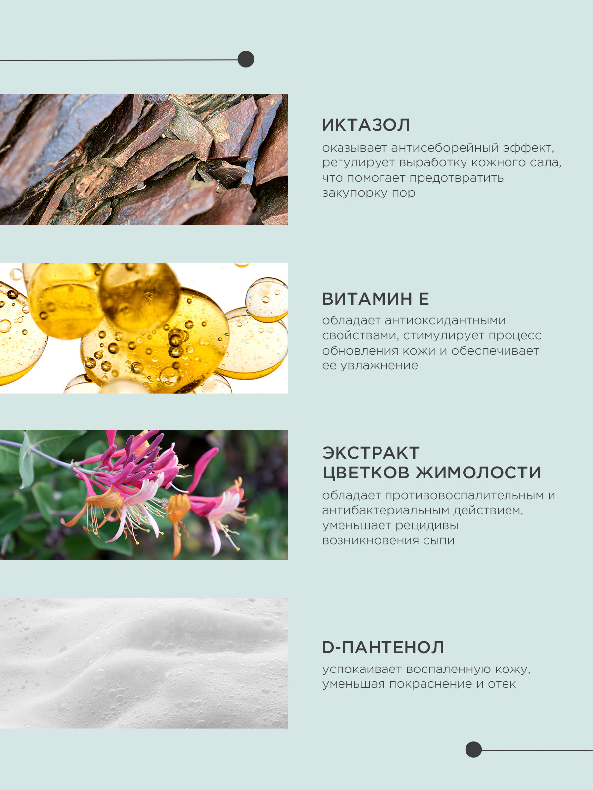 Жидкий шампунь ProPhyto DERMA PROTECT SHAMPOO для собак с растительными экстрактами против перхоти и себореи, 500 мл