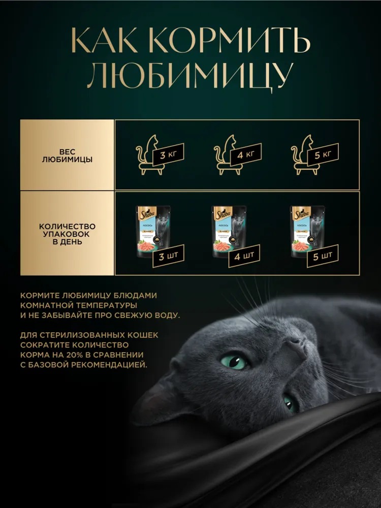 Sheba Влажный корм для кошек, лосось в соусе, 75гр
