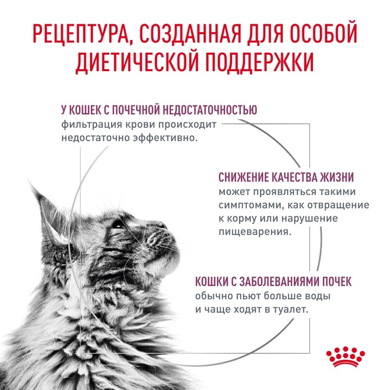 ROYAL CANIN Renal корм диетический для взрослых кошек 4 кг 4690553016649