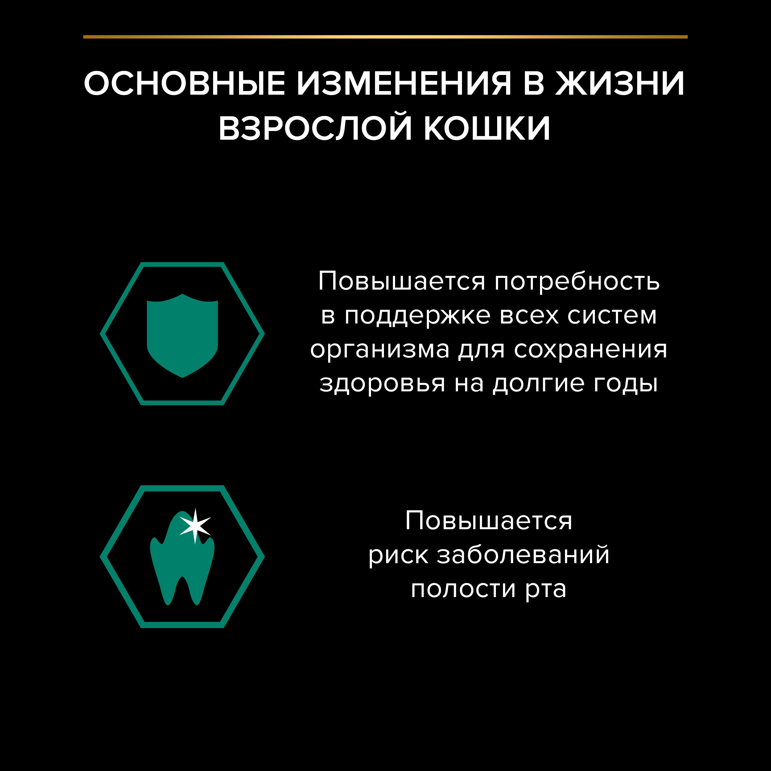 PROPLAN MAINTENANCE Влажный корм для взрослых кошек, с индейкой в желе, 85 г 7613035342262