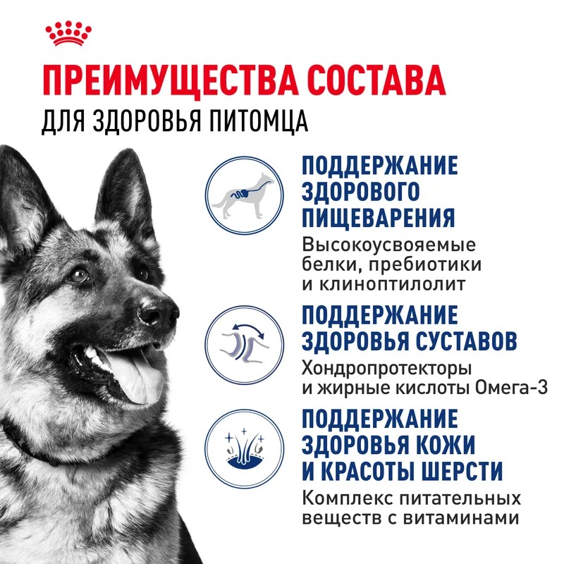 ROYAL CANIN Maxi Adult Корм для собак крупных пород 3кг 4627109389681